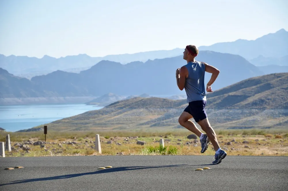 hur många kalorier bränner man per dag