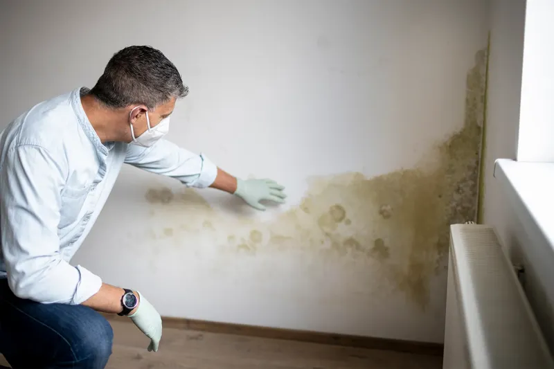 Därför uppstår fukt och mögel i bostäder